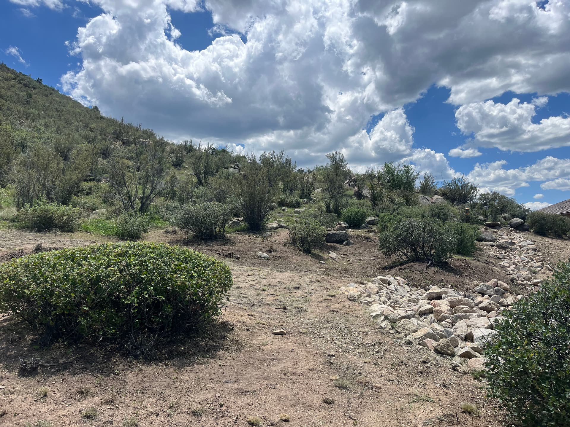 Gallery photos for Firewise Brush Clearing in Prescott Keeps Properties Protected: Image #3