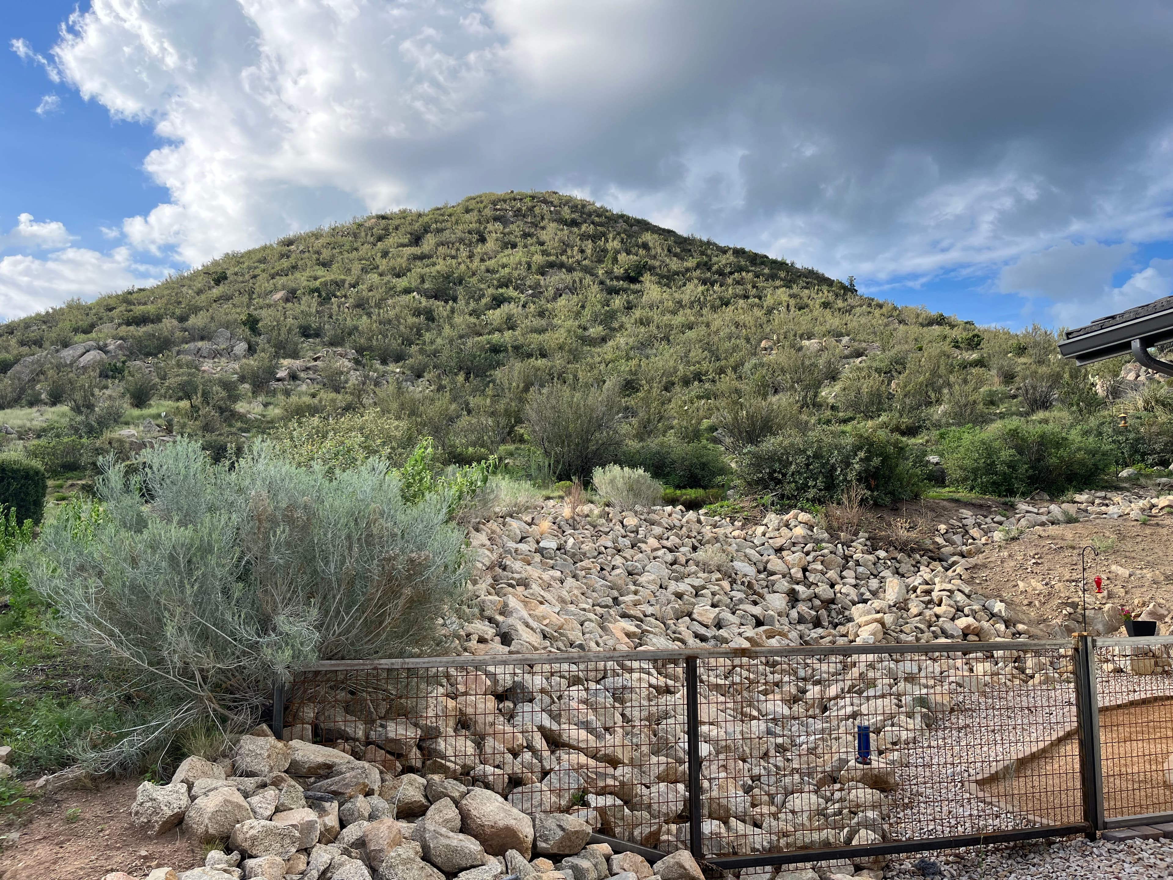 Project Firewise Brush Clearing in Prescott Keeps Properties Protected image