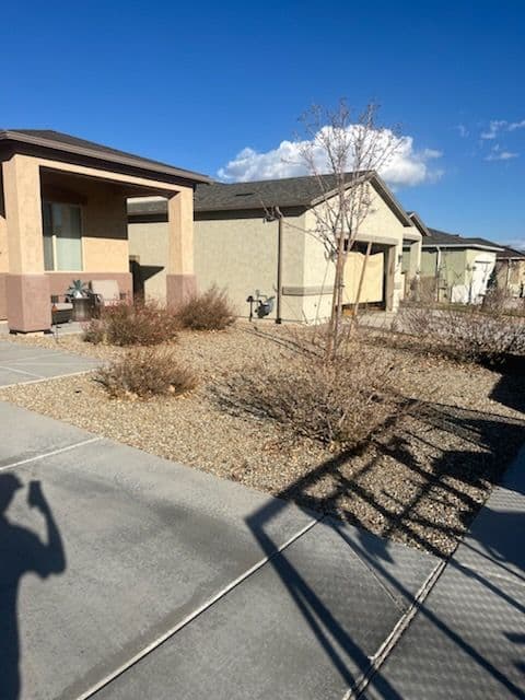 Prescott Valley Yard Cleanup image