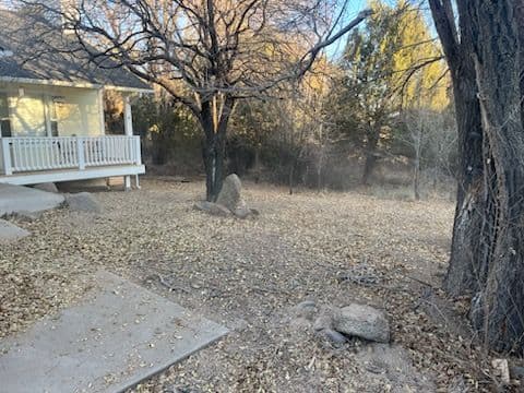 Leaf Cleanup in Prescott image