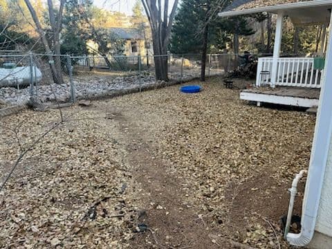 Gallery photos for Leaf Cleanup in Prescott: Image #2
